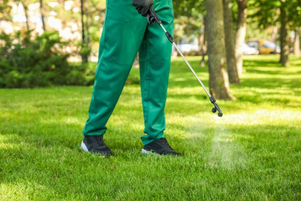 Roanoke Lawn Treatment