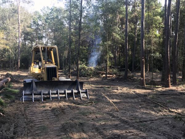 Roanoke Land Clearing