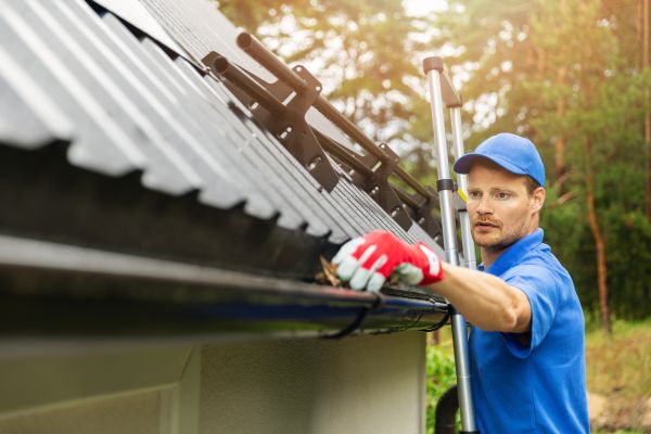 Roanoke Gutter Cleaning