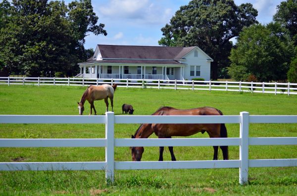 Roanoke Fence Service